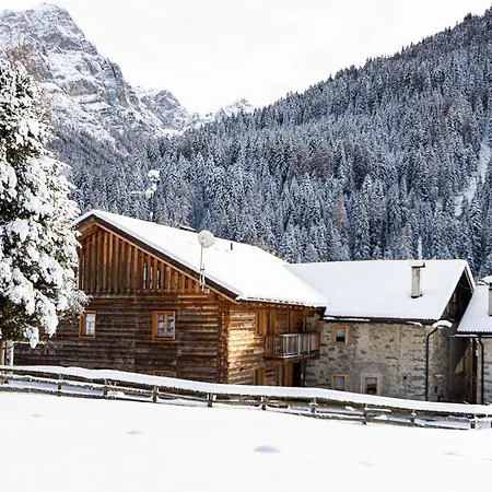 Nido Del Brenta *