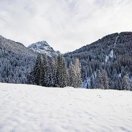 Apartment Nido Del Brenta