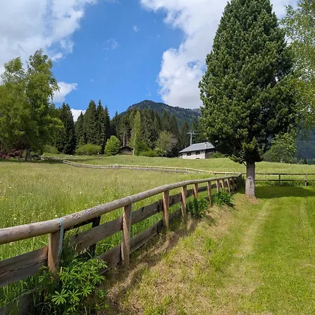 Apartment Nido Del Brenta